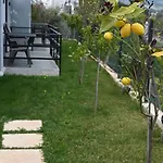Bellelen - Kumquat * Corinth