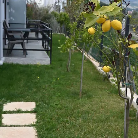 Bellelen - Kumquat * Corinth